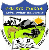 KEBRI DEHAR UNIVERSITY