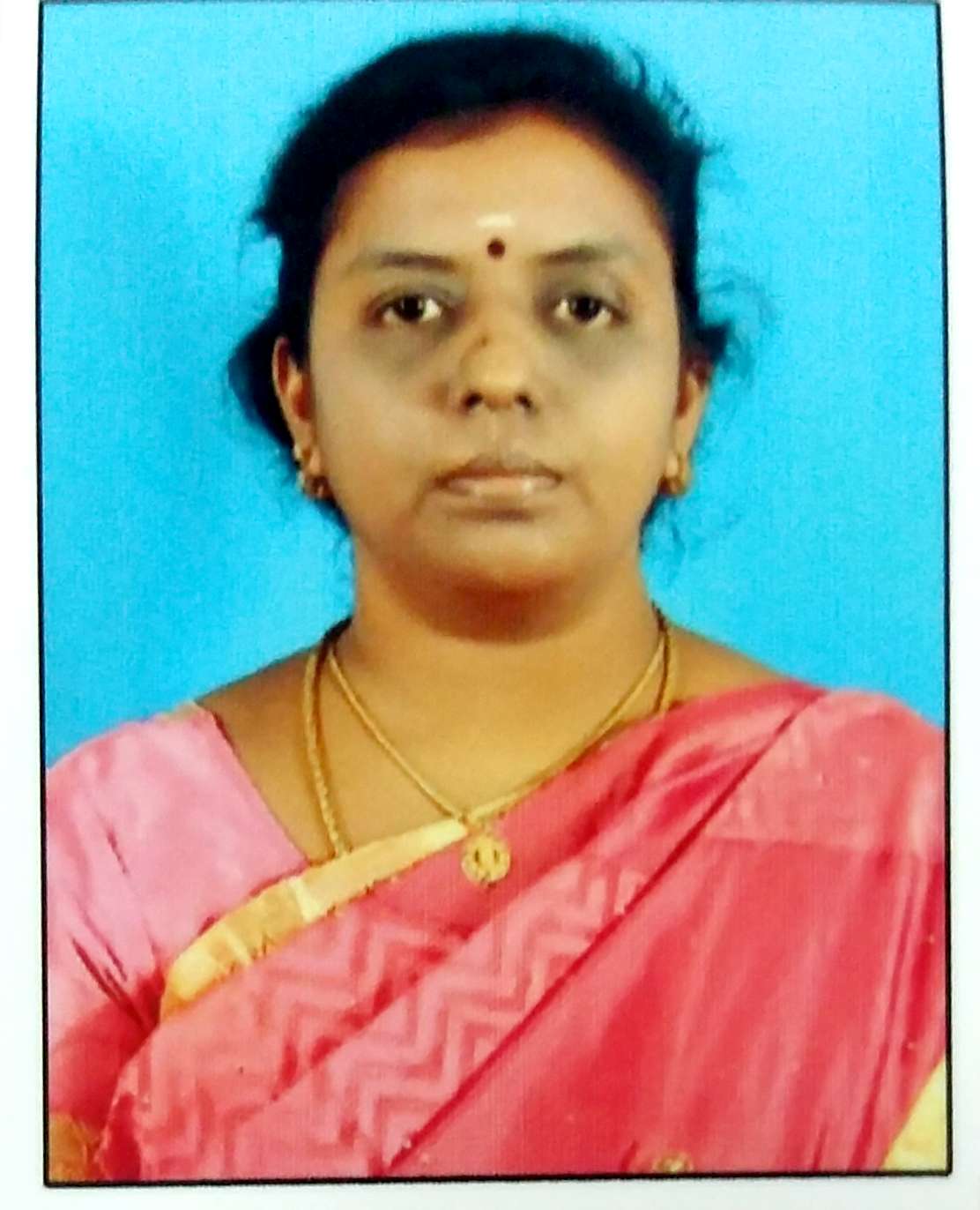 BHARATHI V